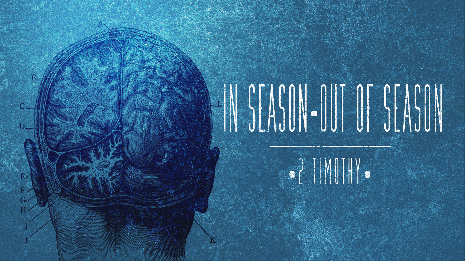 In Season • Out Of Season