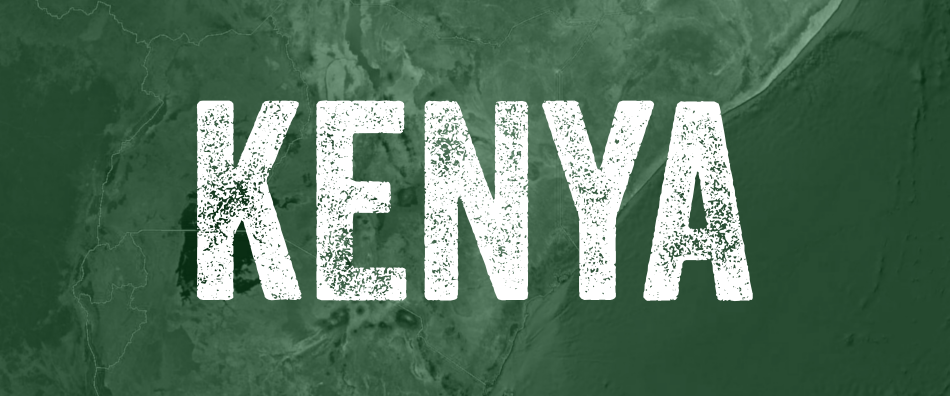 Kenya Mission Trip Testimonies