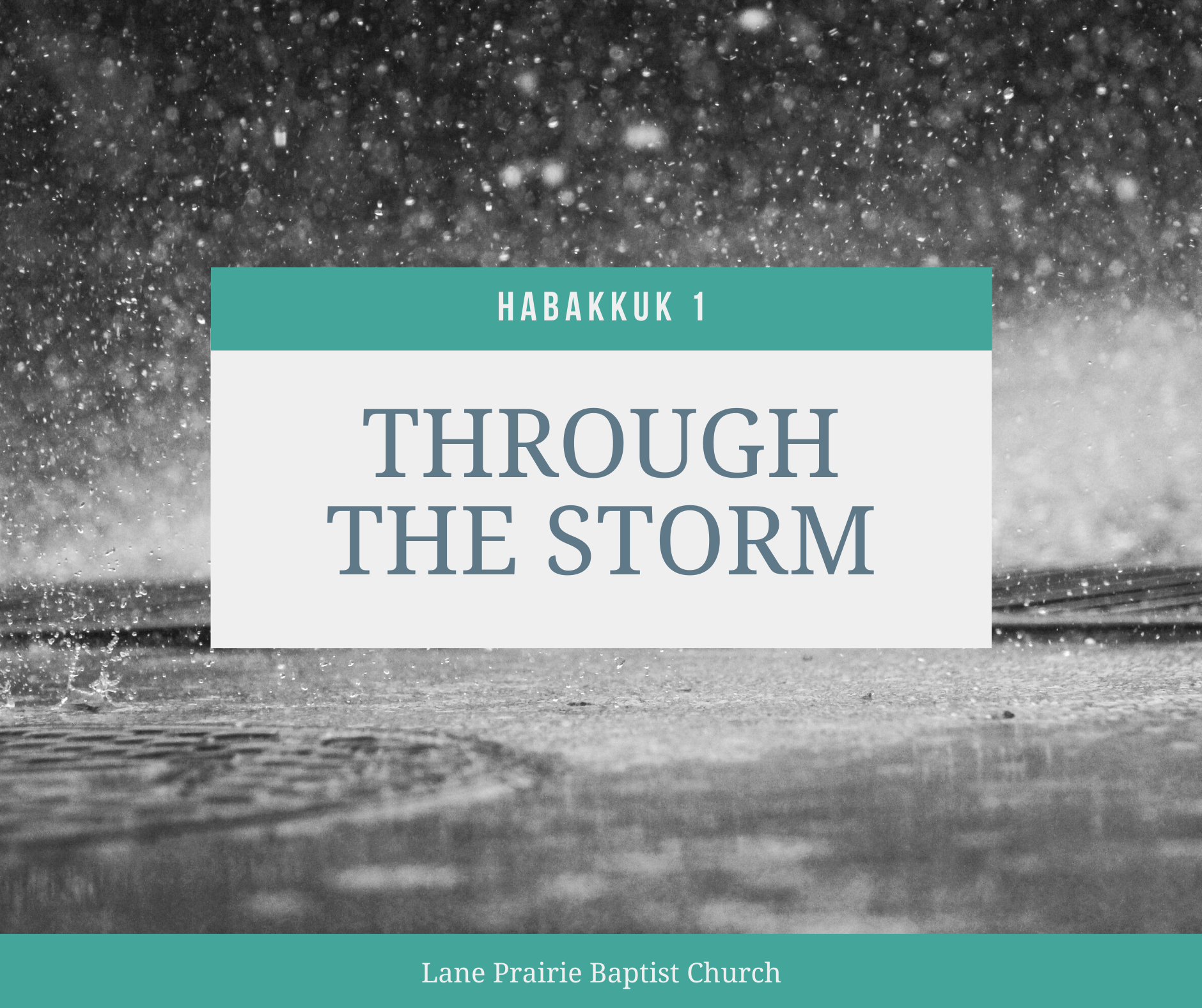 Through The Storm