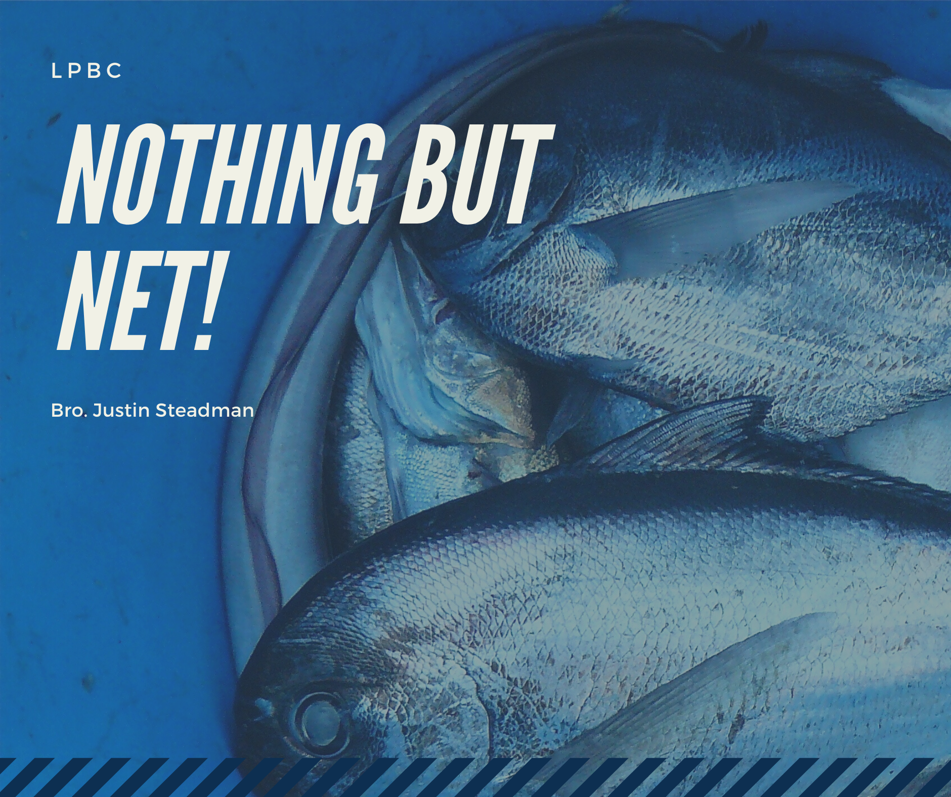 Nothing But Net