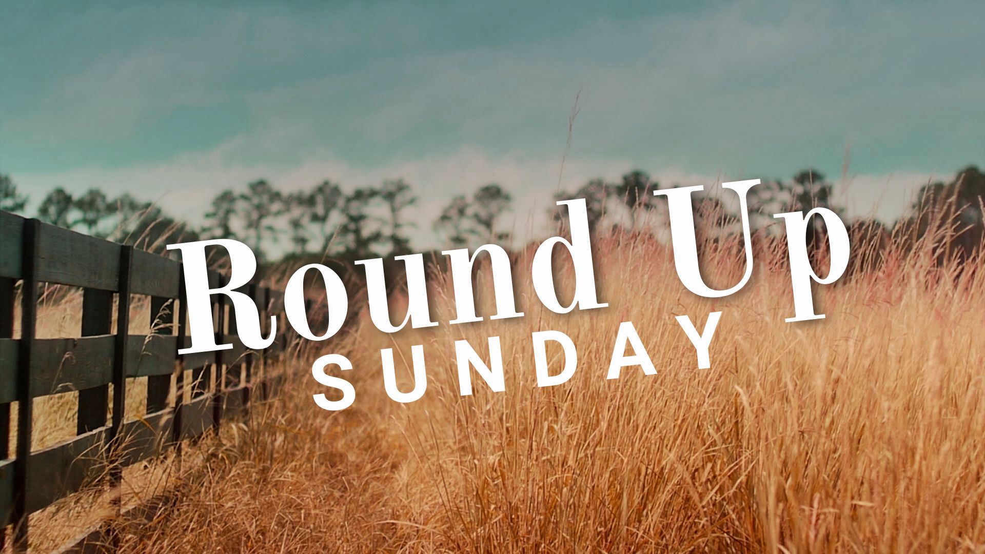 Round Up Sunday Matthew 9:1-8